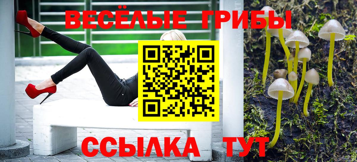 Псилоцибиновые грибы мухоморы  Псилоцибиновые грибы мухоморы  Луховицы  Вход с VPN 